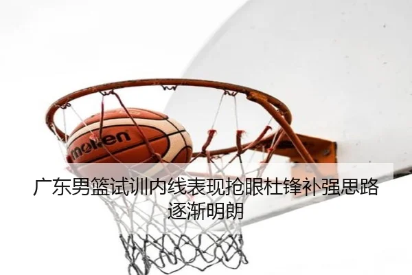 广东男篮试训内线表现抢眼杜锋补强思路逐渐明朗